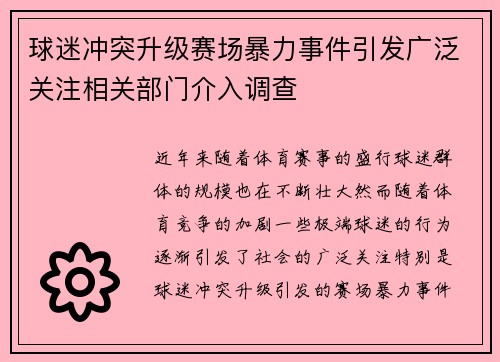 球迷冲突升级赛场暴力事件引发广泛关注相关部门介入调查