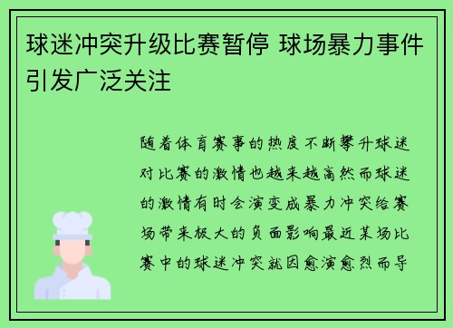 球迷冲突升级比赛暂停 球场暴力事件引发广泛关注